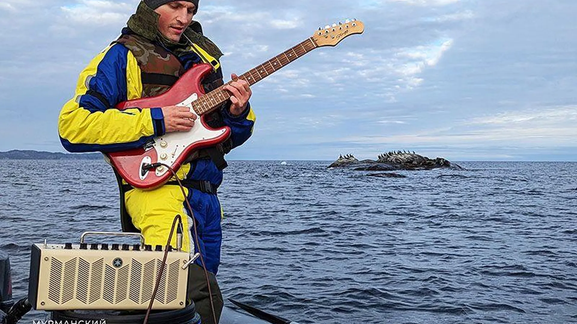 Музыкант поразил тюленей внезапным рок-концертом