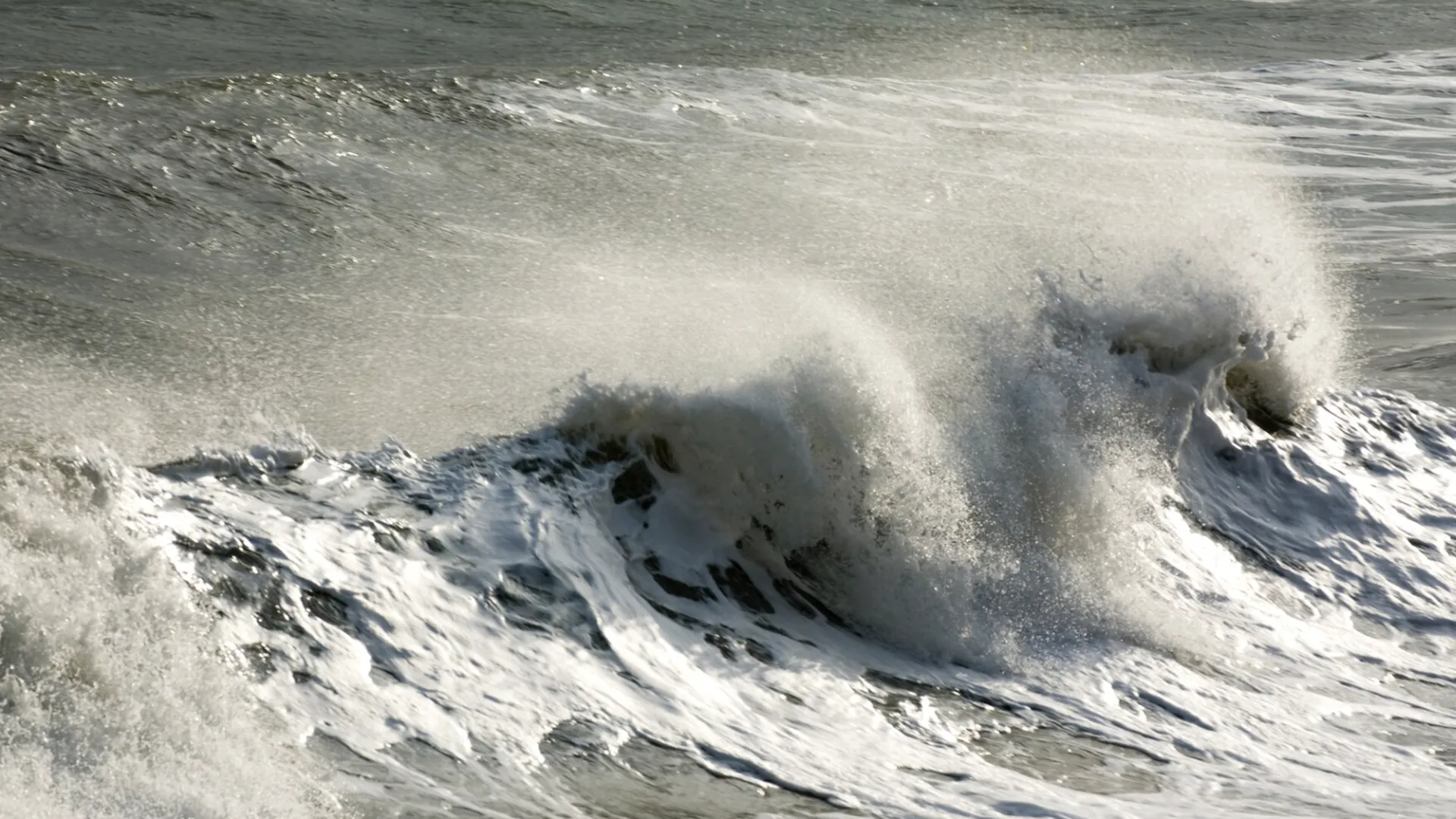Канадские ученые обнаружили следы гигантского древнего цунами