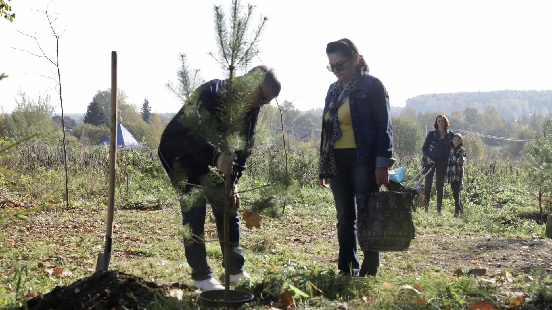 Более 50 деревьев высадили на акции «Наш лес» вблизи Спасской церкви в Солнечногорске