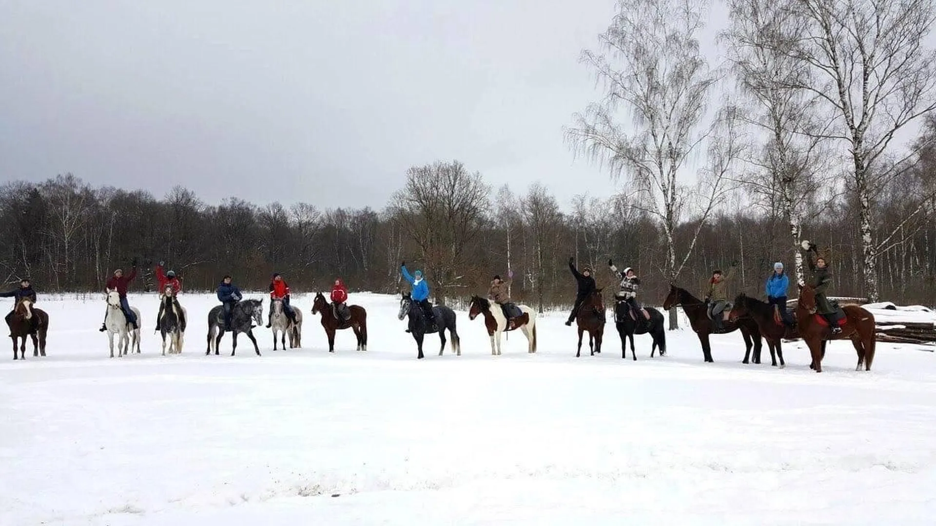 Можайский «Бородинский хутор» организовывает конные прогулки
