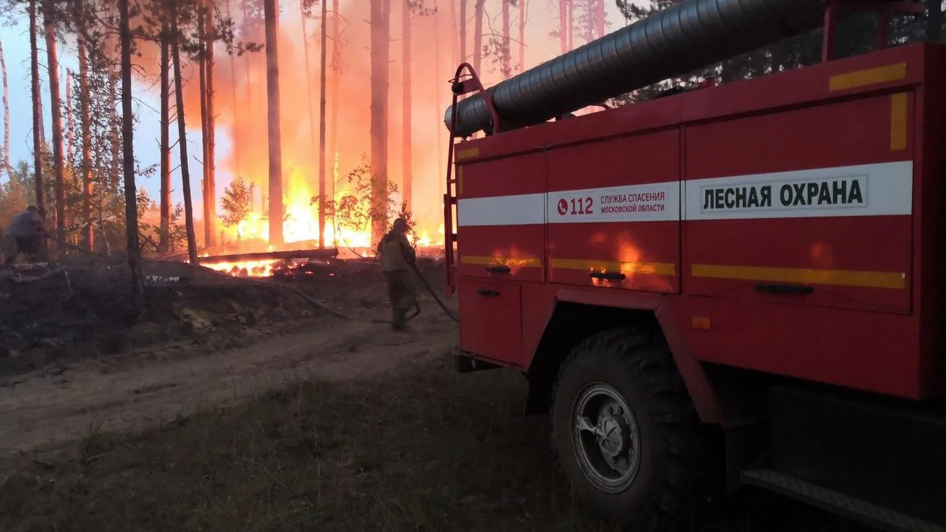 Более 400 лесных пожарных в Подмосковье застраховали от несчастных случаев