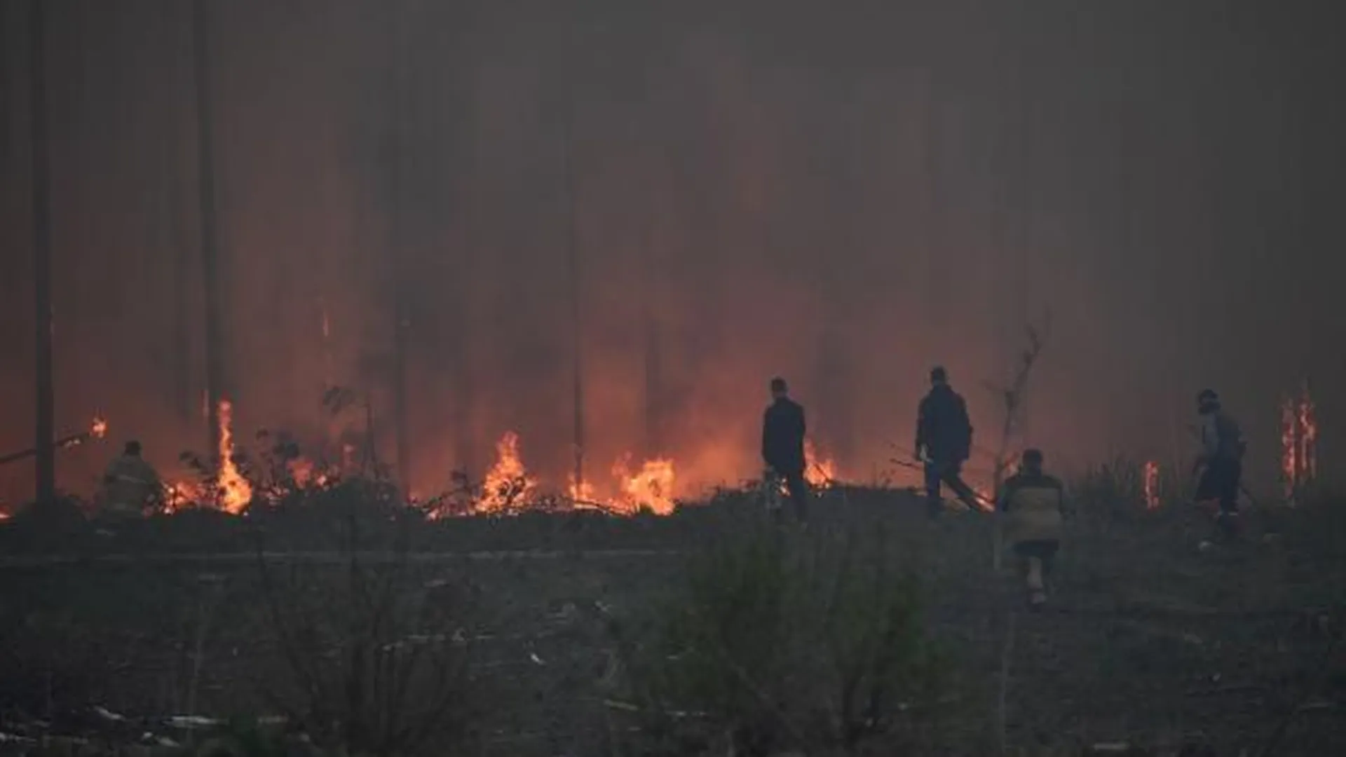 Почти 20 человек погибли из-за пожаров в Курской области