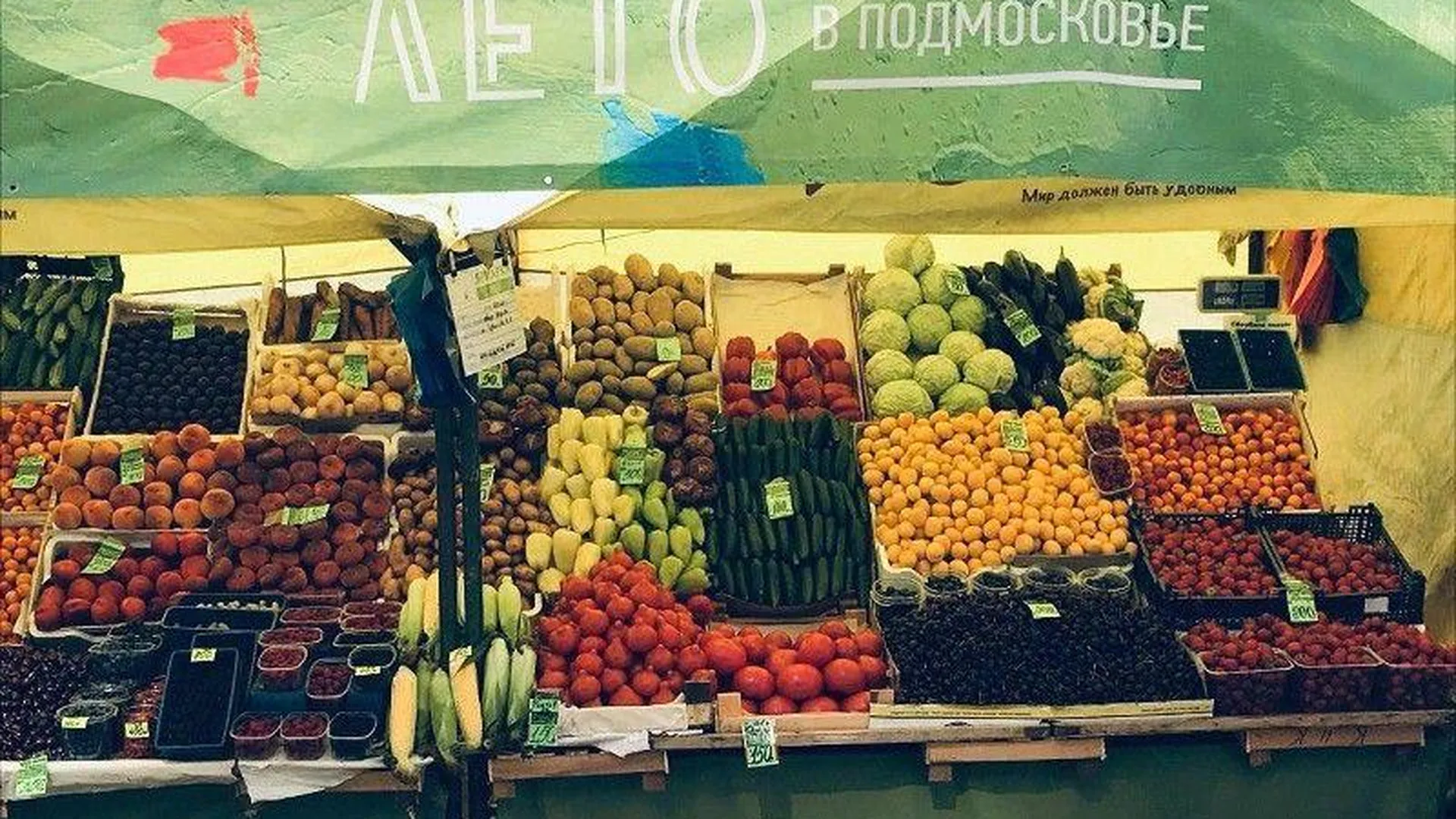 Тематические ярмарки ко Дню работника торговли прошли в Подмосковье