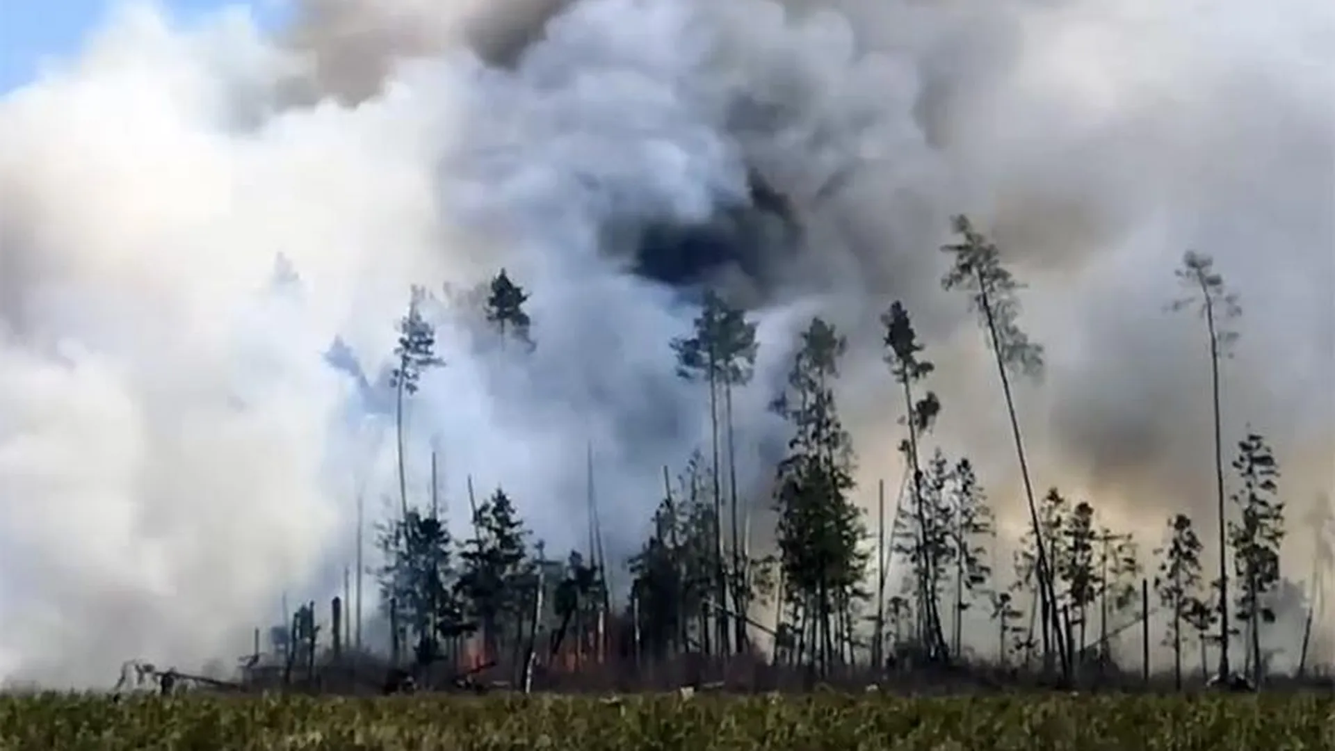 Мощный пожар в лесу Балашихи распространился на 10 гектаров