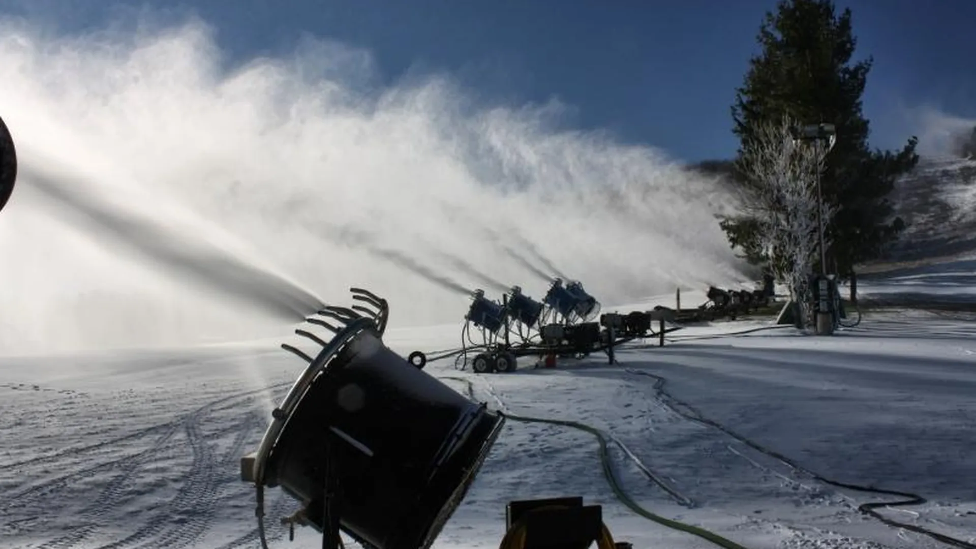 Трассу для лыжников в Химках построят с помощью снеговой пушки