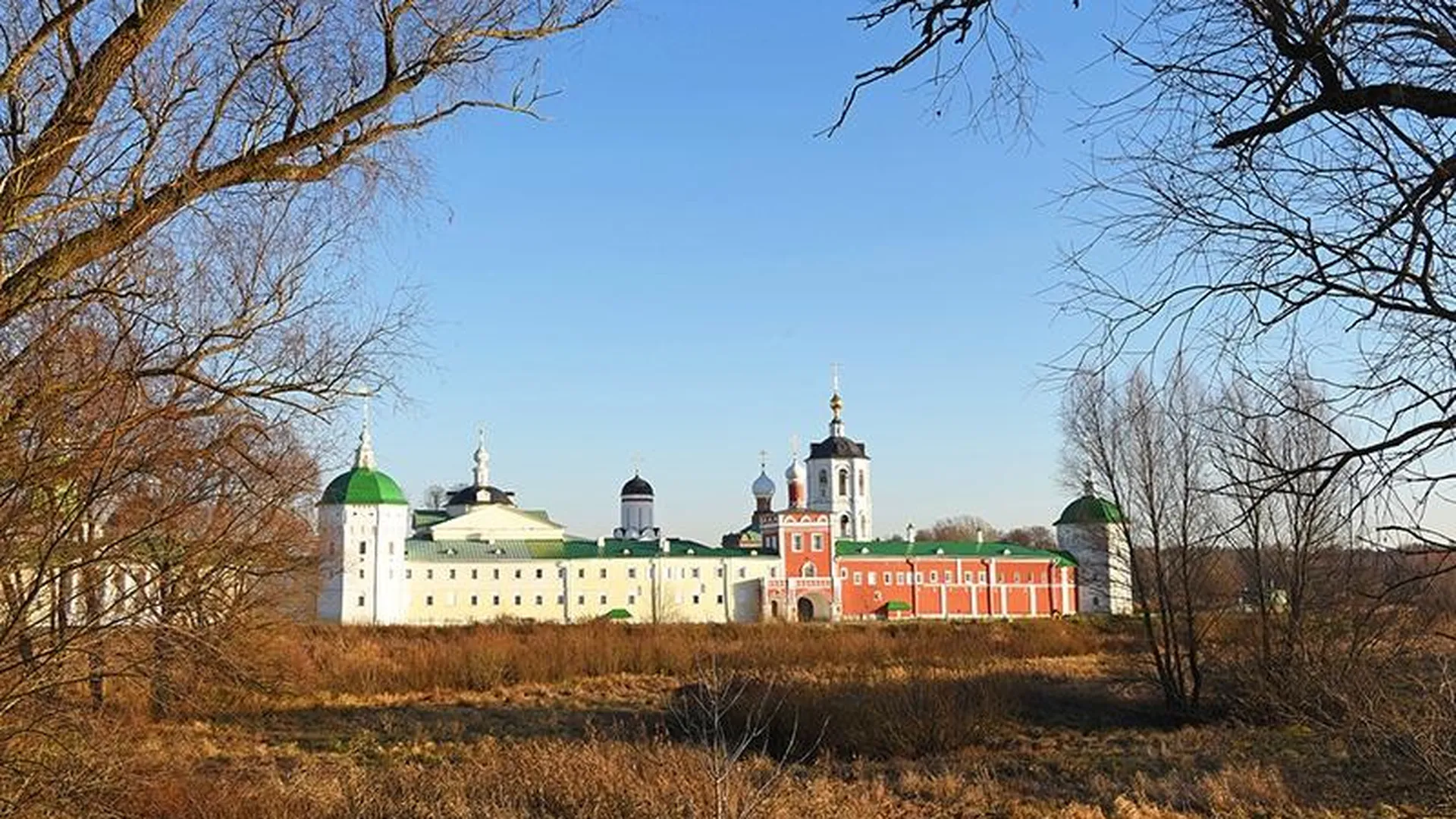 Вязовая аллея Николо-Пешношского монастыря