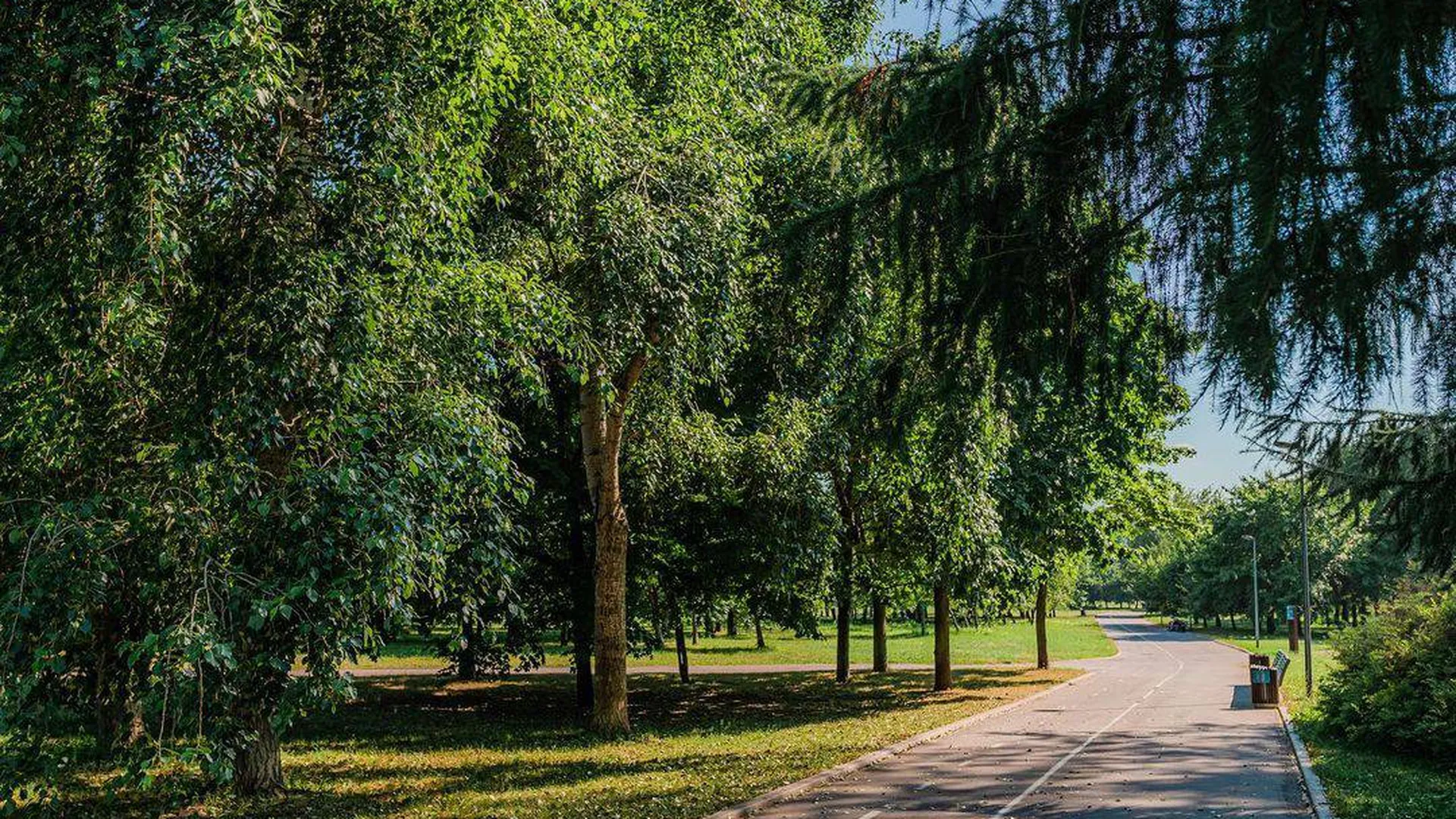 Московский парк «Садовники» переименовали в честь Юрия Лужкова