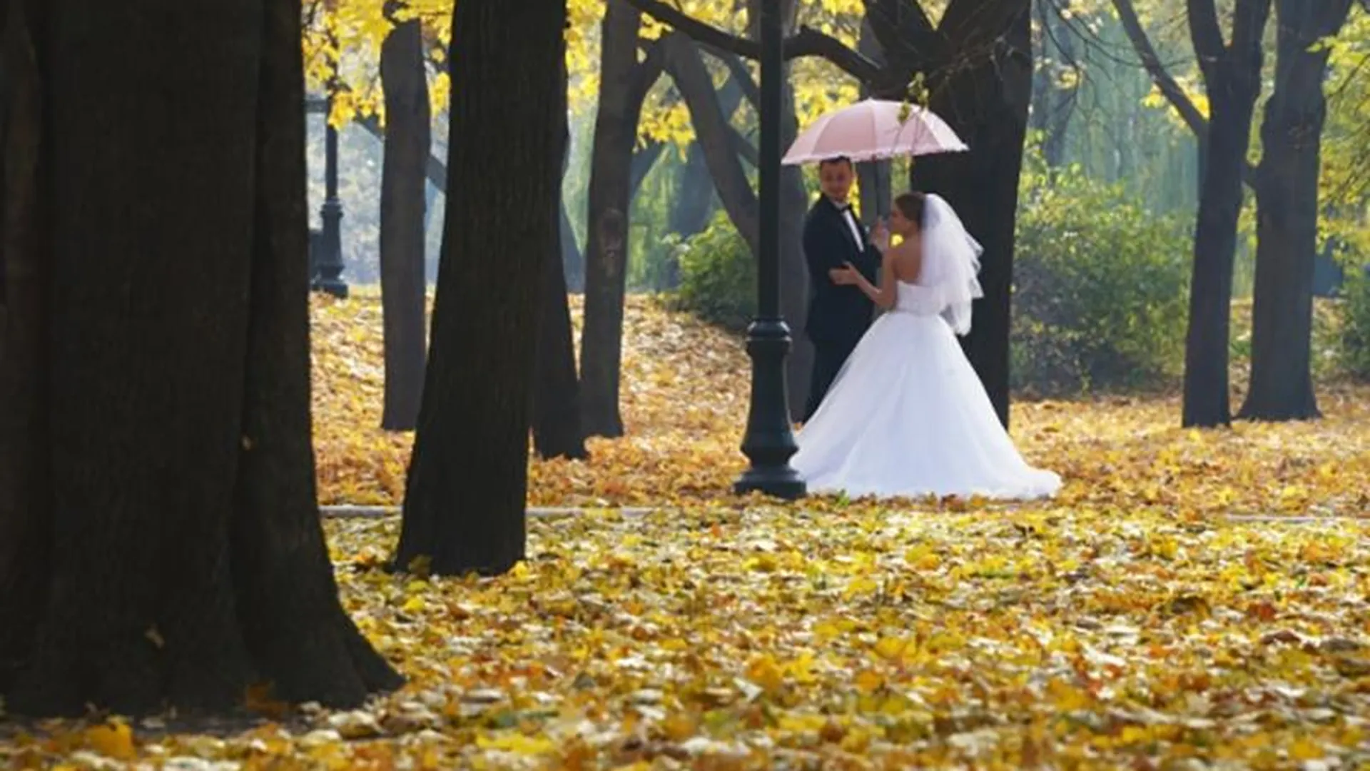 Октябрь – «месяц свадеб» порадует теплыми днями в столичном регионе