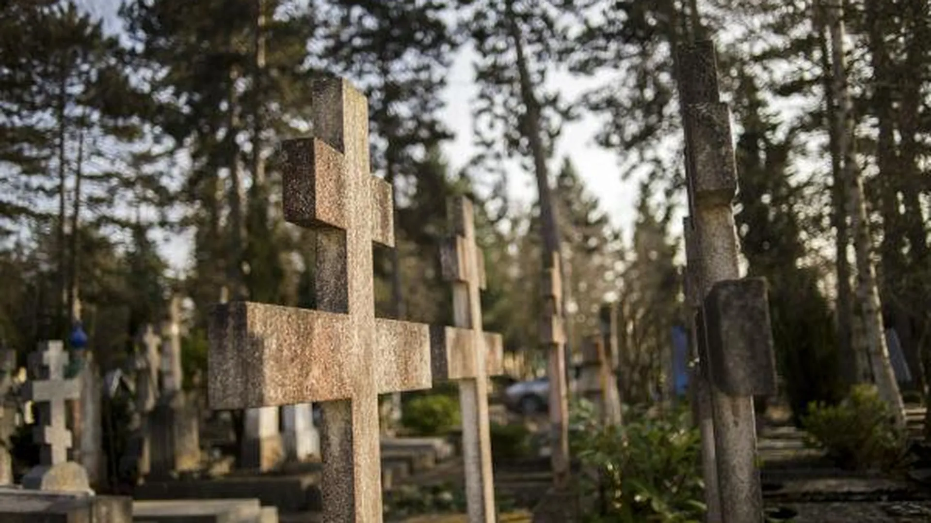 Госадмтехнадзор выявил нарушения содержания памятников и кладбищ 