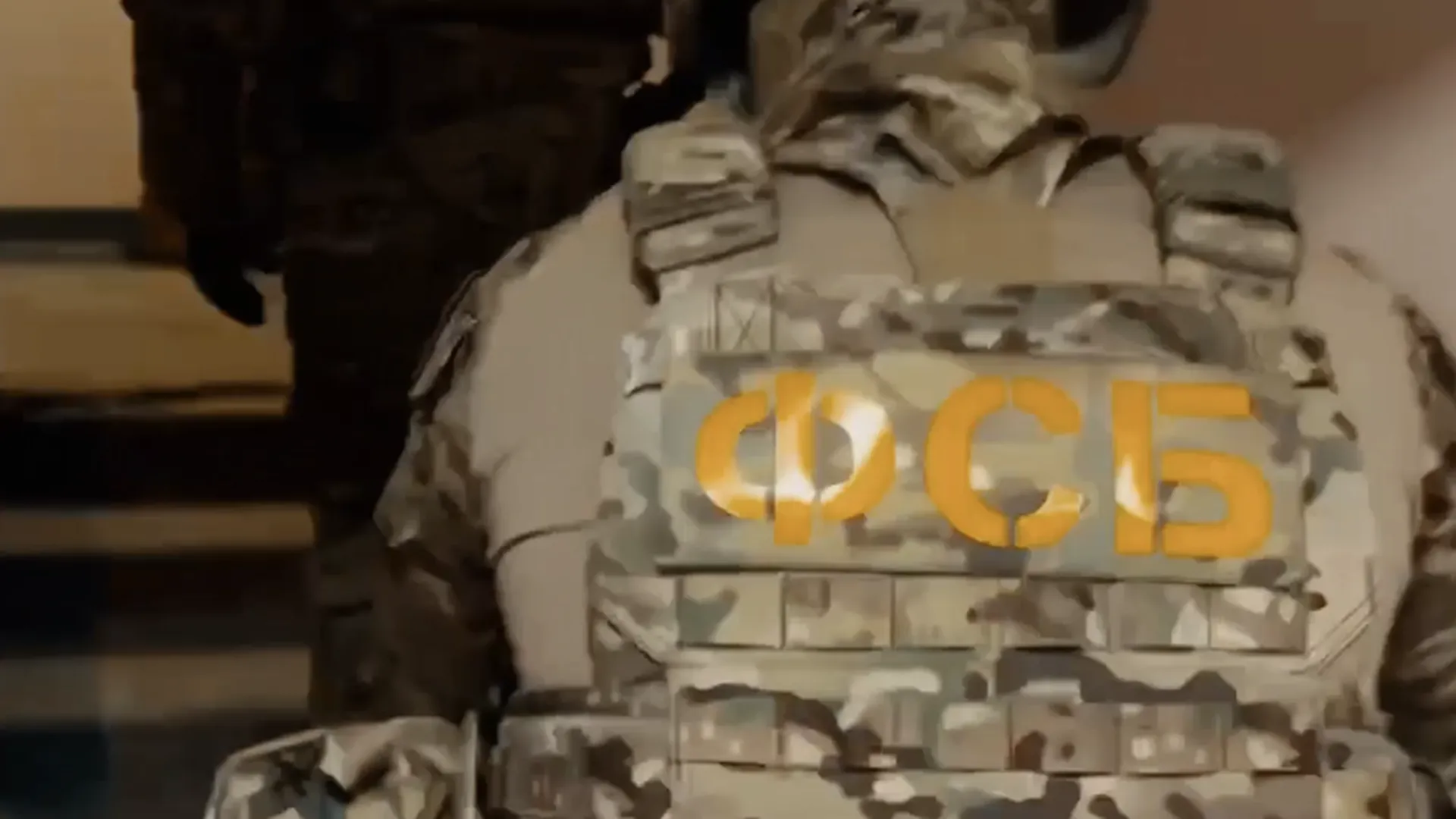 Задержание украинского шпиона в Мариуполе показали на видео