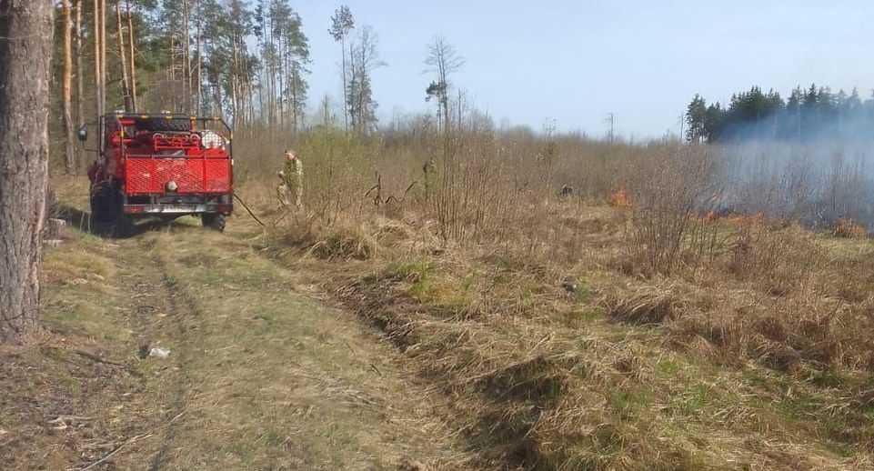Лесной пожар потушили в Павловском Посаде