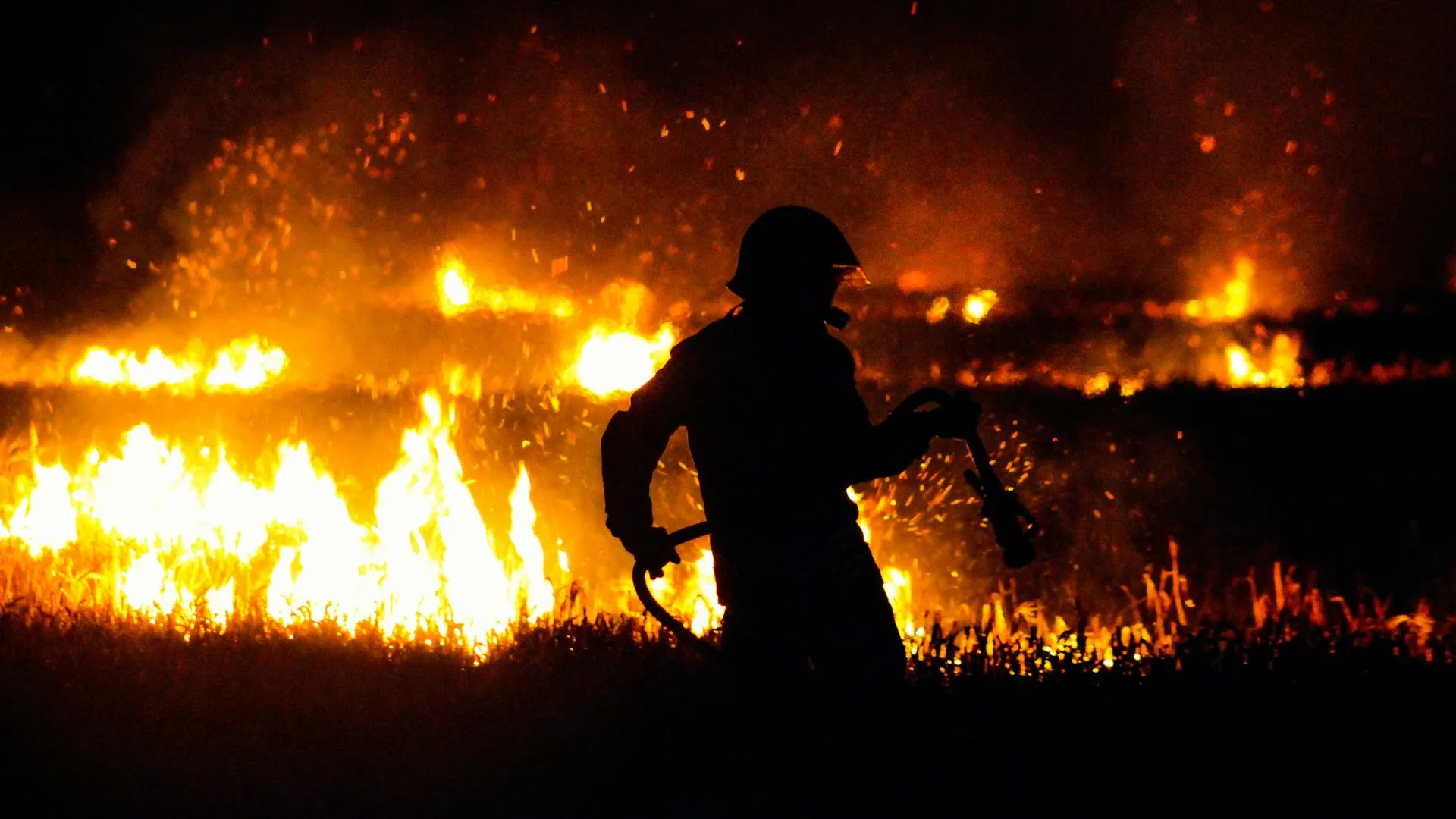 Чрезвычайное положение ввели в 60 округах Техаса из-за природных пожаров