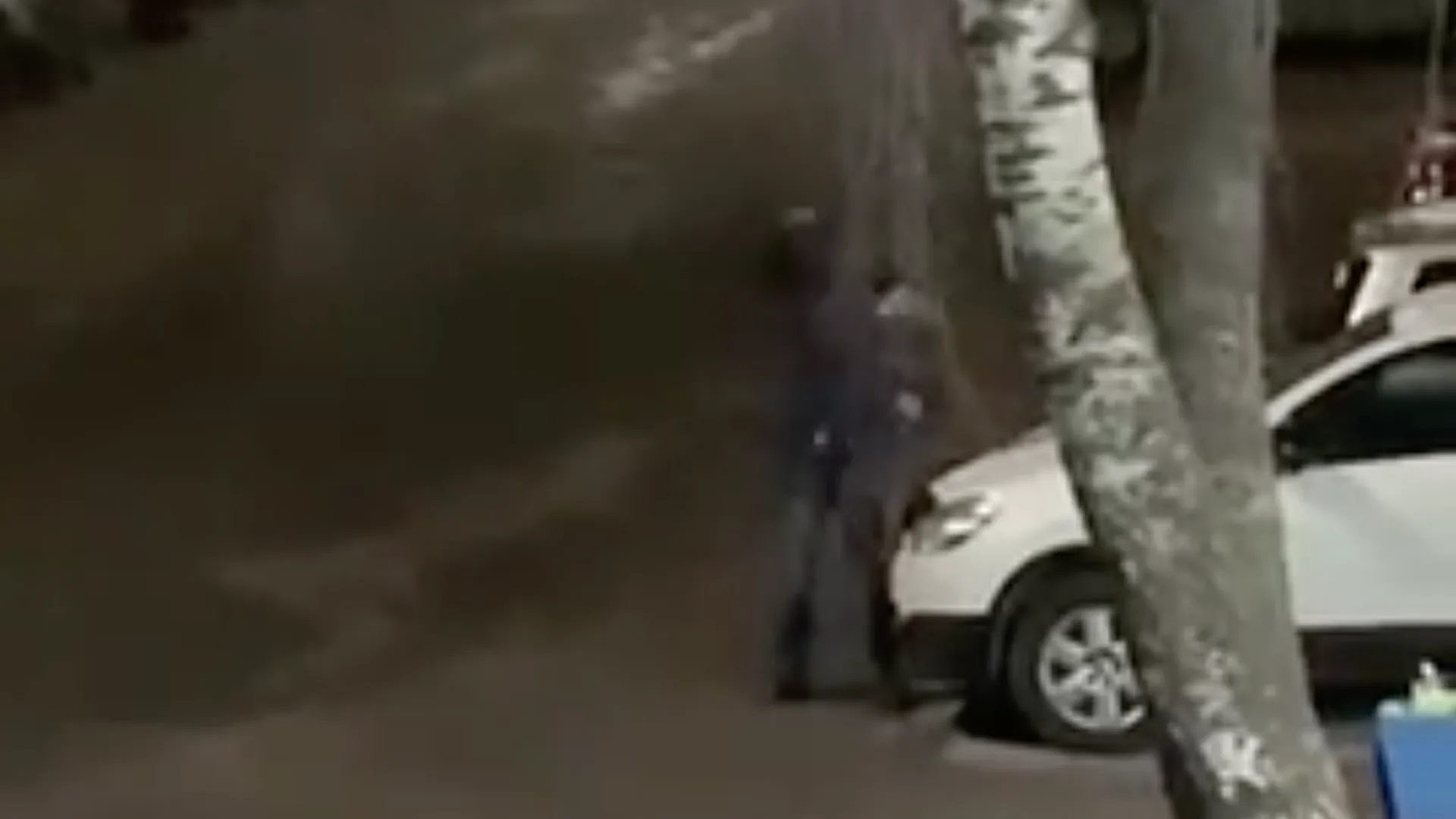 Жителя Подольска, который вызвал на неравный бой припаркованную иномарку, разыскивает полиция