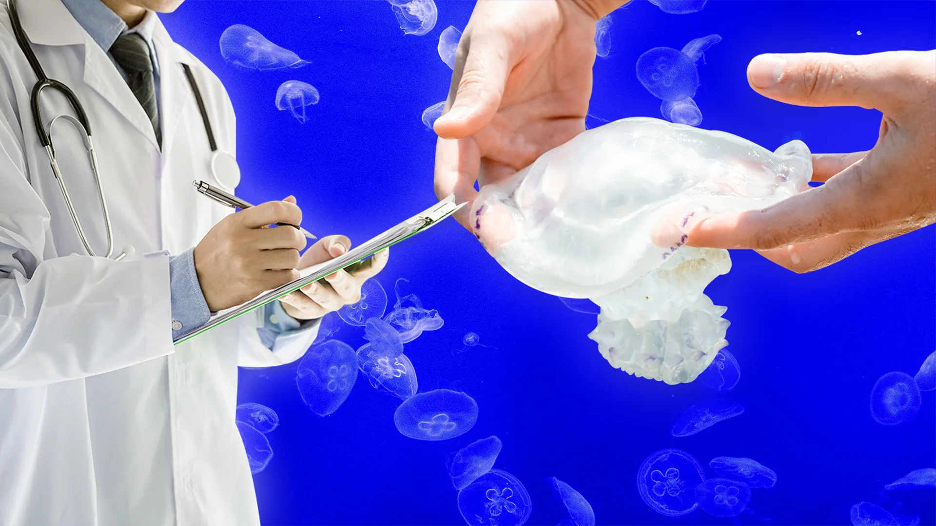 «Вводит под кожу яд»: дерматолог Новикова рассказала, чем опасен укус медузы