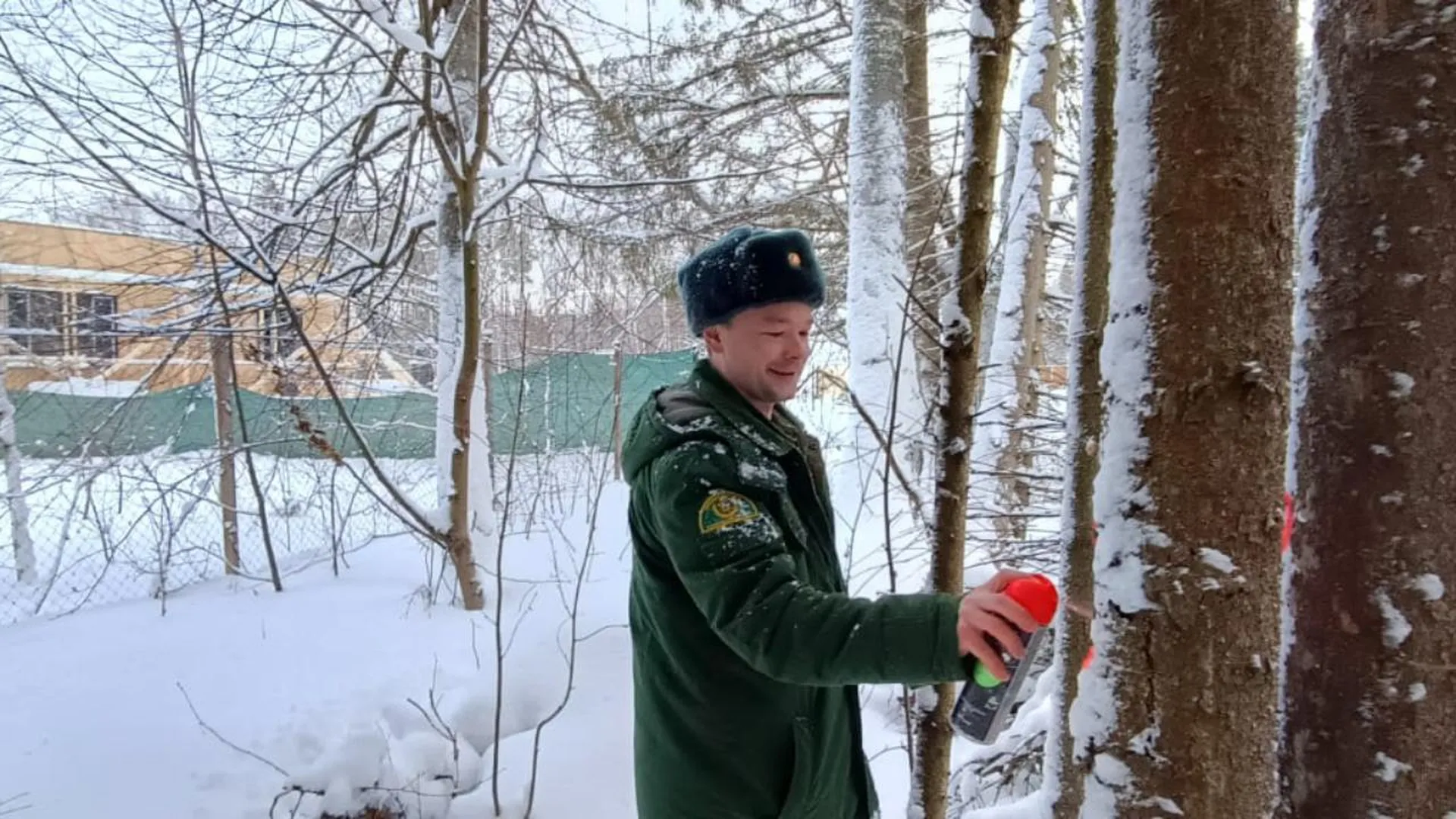В Волоколамске по обращениям жителей проверили состояние леса