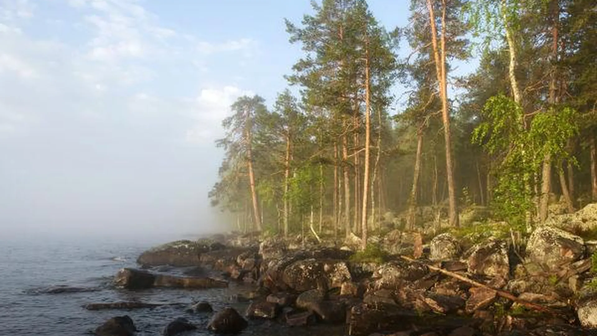 Одна из крупнейших особо охраняемых природных территорий региона появится в Ленинском районе