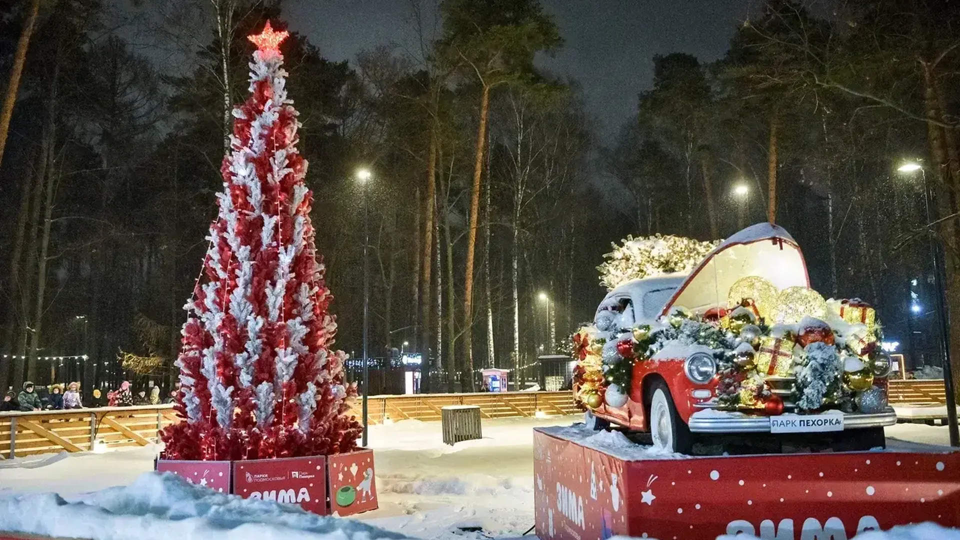 Парк «Пехорка» стал самым посещаемым в Московской области