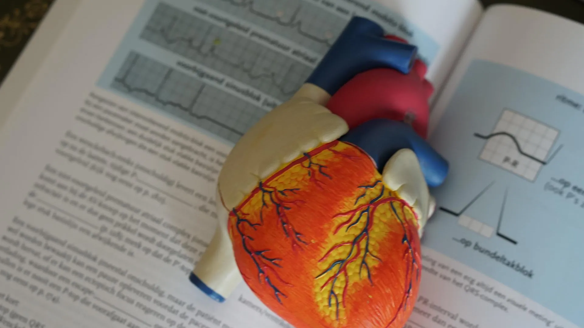 Кардиолог Ландмессер дал советы, как избежать сердечного приступа