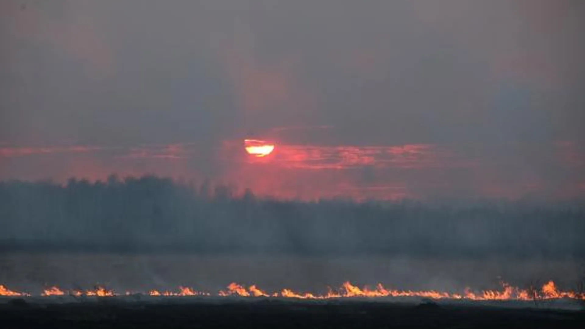Почти 50 виновников природных пожаров установили в Курганской области