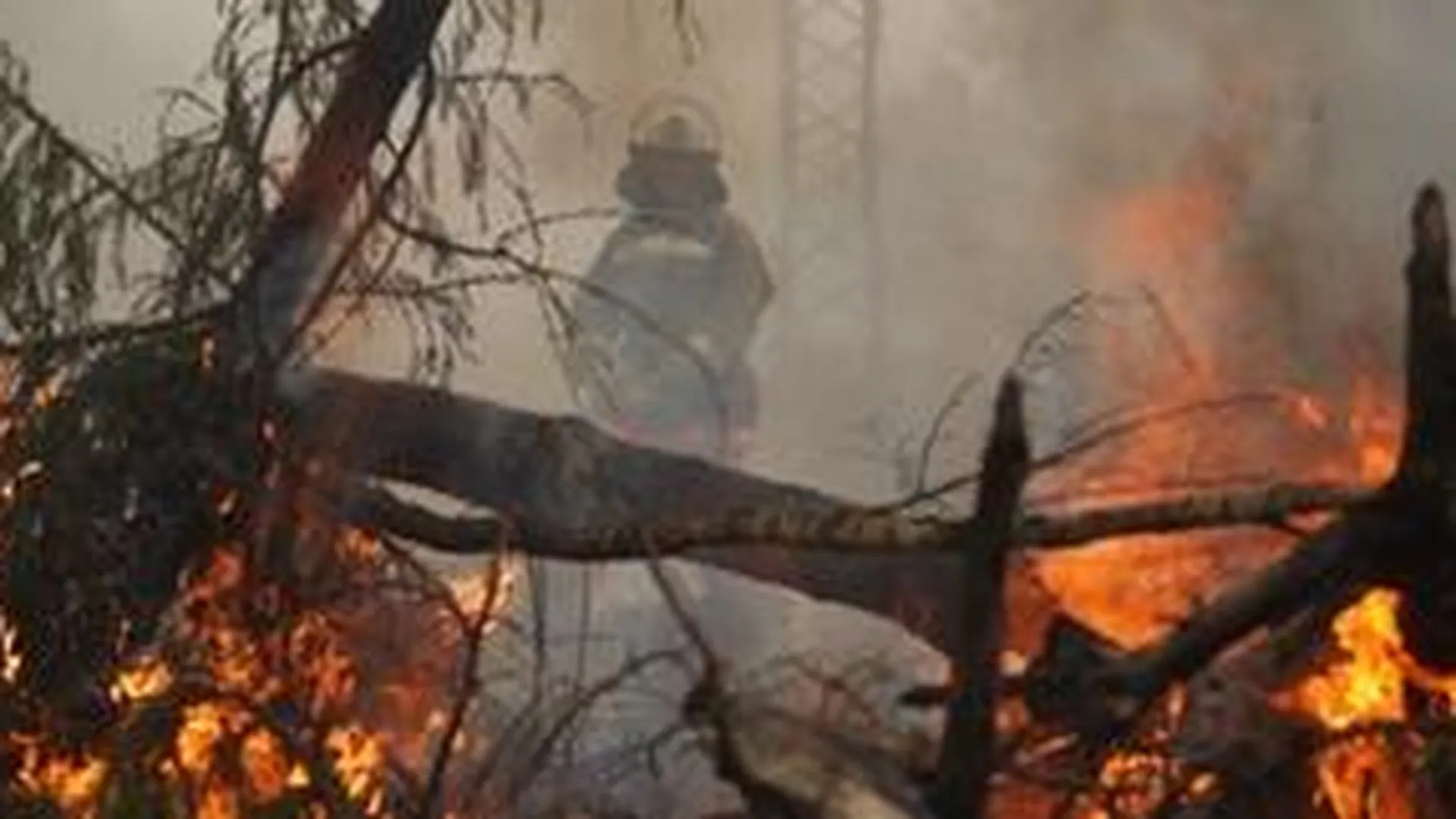 В Московской области за сутки произошло около 30 пожаров