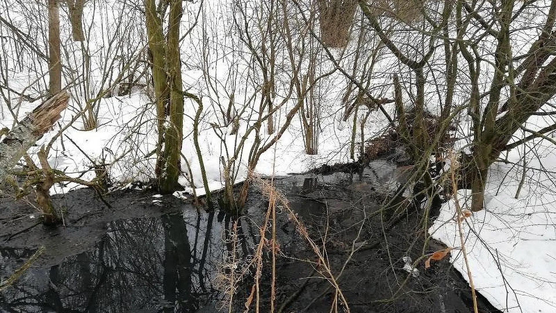 Инспекторы эконадзора выявили сброса не очищенных стоков в приток реки Раздерихи в Подмосковье