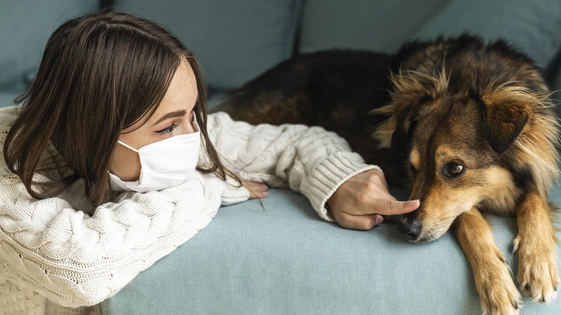 Без астмы и кашля: разбираемся, существуют ли «гипоаллергенные» породы собак и кошек