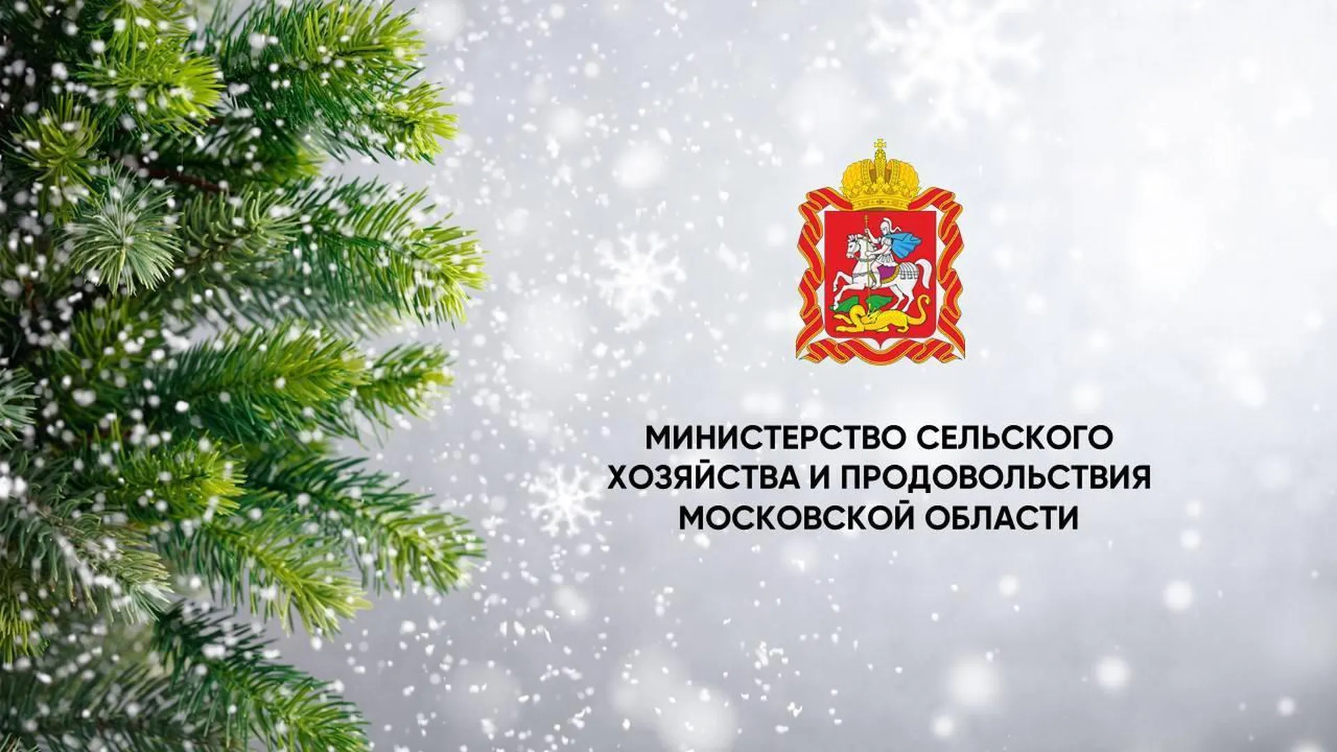 Зампред правительства Владислав Мурашов поздравил жителей Подмосковья с наступающим Новым годом