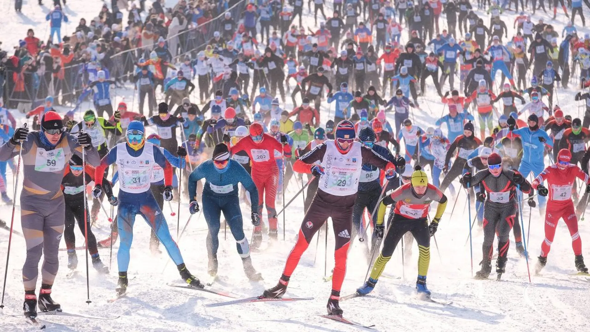 Порядка десяти тысяч человек приняли участие в лыжной гонке «Лыжня России-2024» в Химках