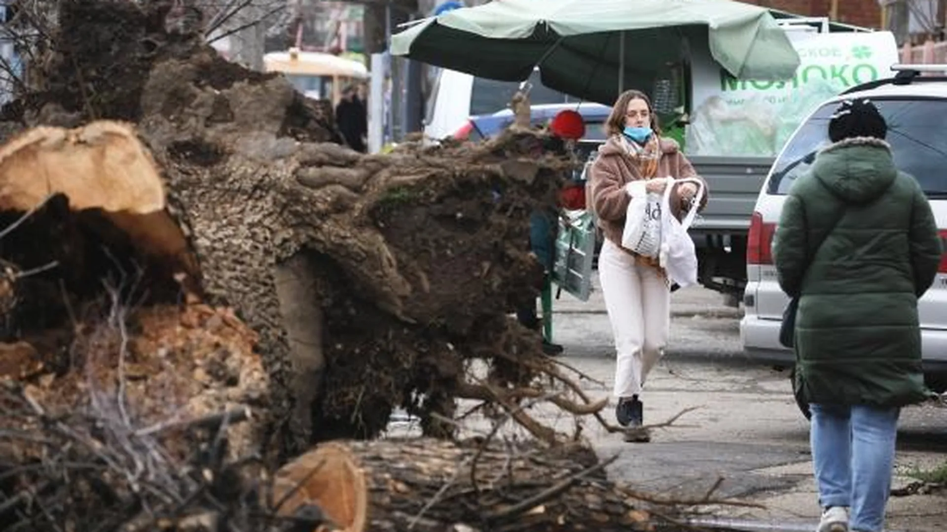 Сильный ветер поднялся в Москве. Из-за непогоды стали падать деревья