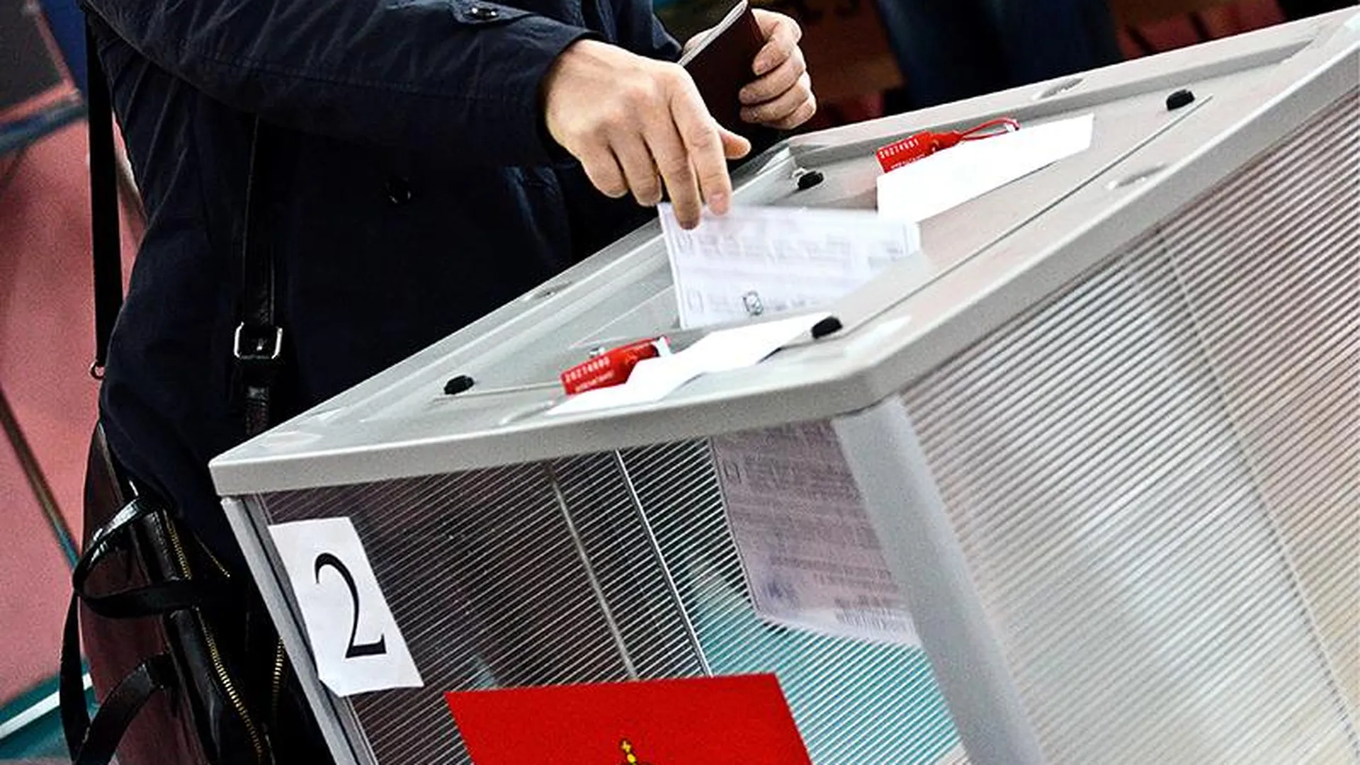 Татьяна Дмитриева: Осеннее голосование должно пройти максимально легитимно и открыто