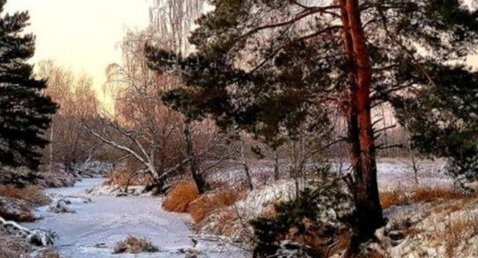 Подмосковный Комлесхоз запустил голосование за лучшее фото зимнего леса
