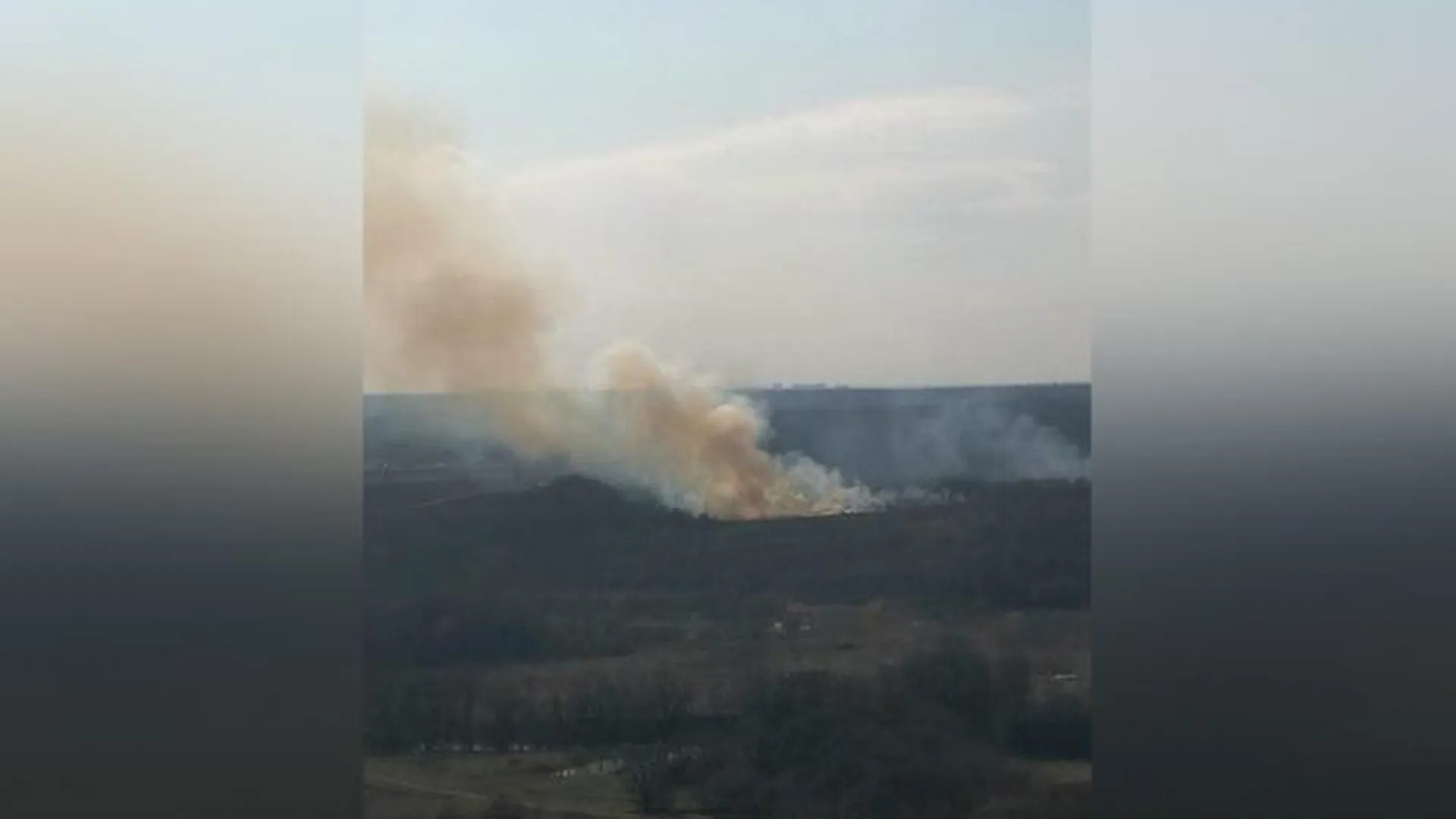 Лес загорелся в деревне Путилково под Красногорском