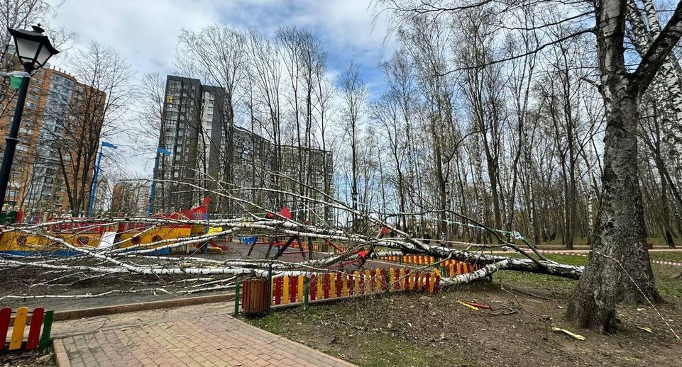 Минздрав: состояние девочки, на которую упало дерево в Красногорске, тяжелое