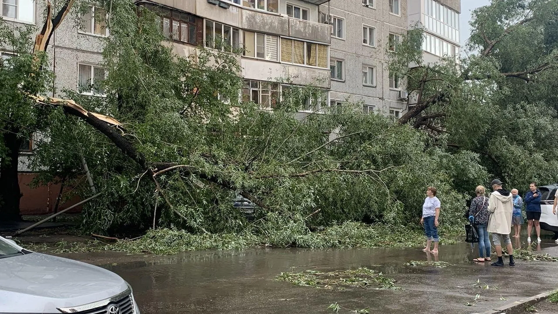 Сильный дождь. Ливень. Упавшее дерево в городе. Ливень в Омске. Омск под водой