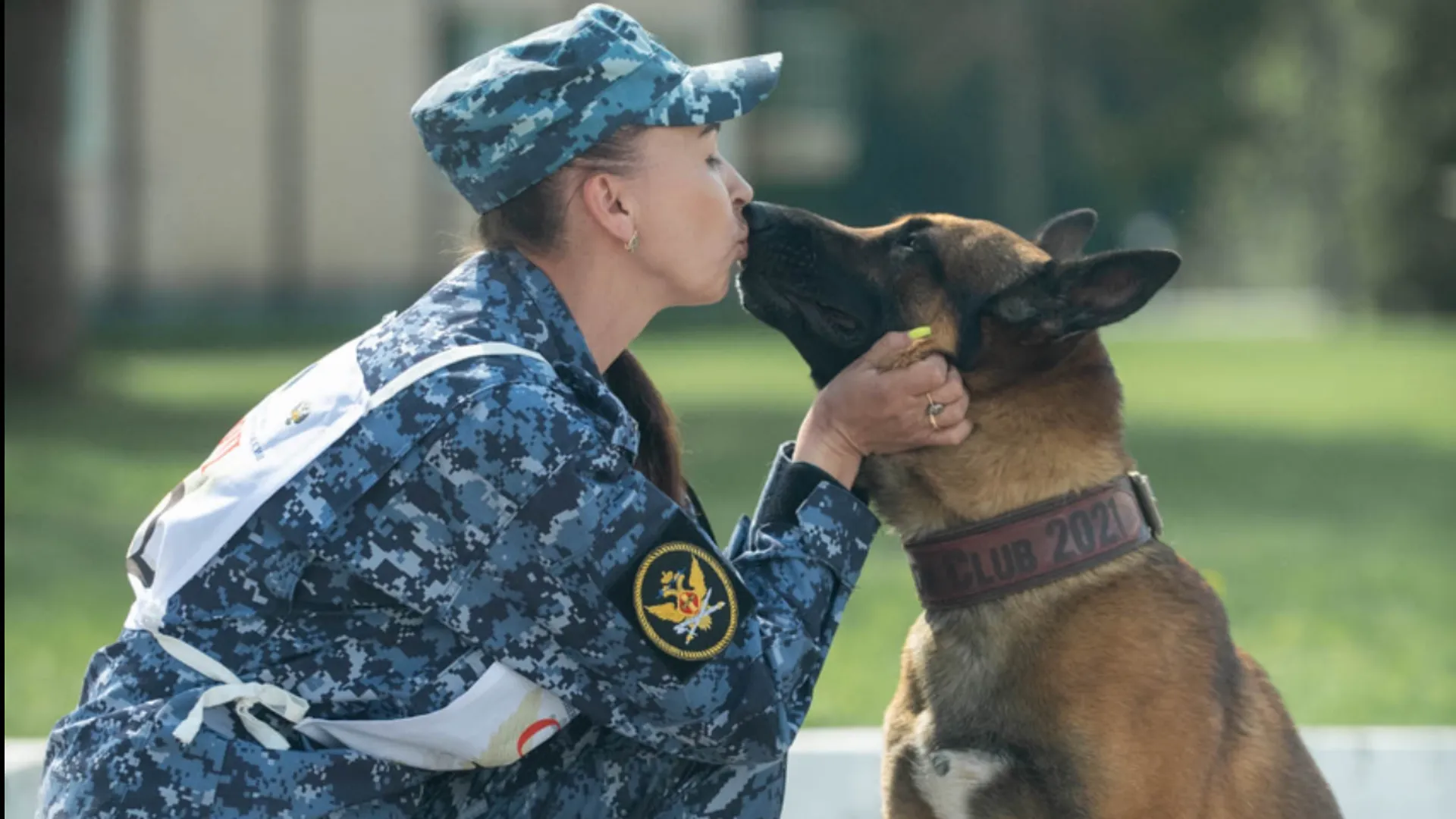 Из мощных бойцов в няшных песиков: служебные собаки ФСИН проявили себя на состязании в Подмосковье