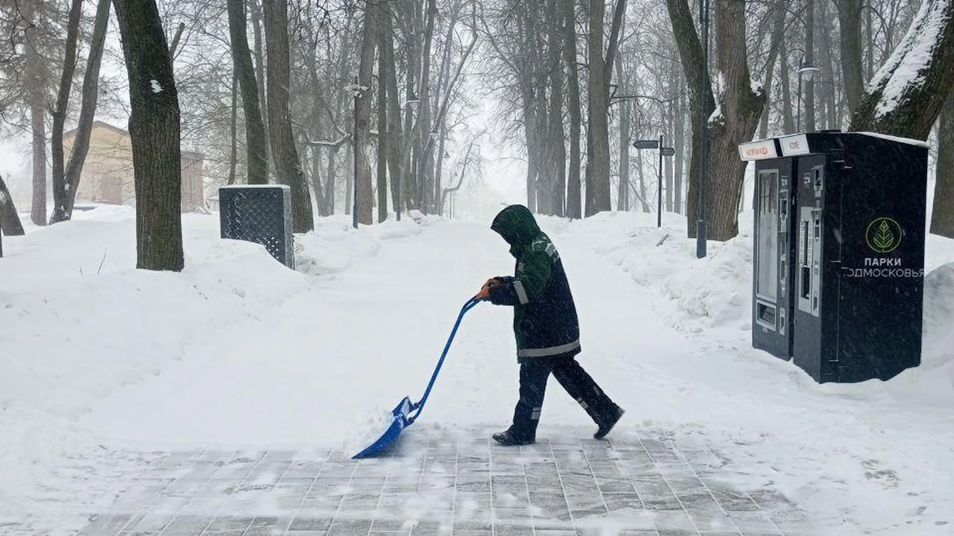 Более 54 тысяч кубометров снега вывезли из парков Подмосковья за неделю