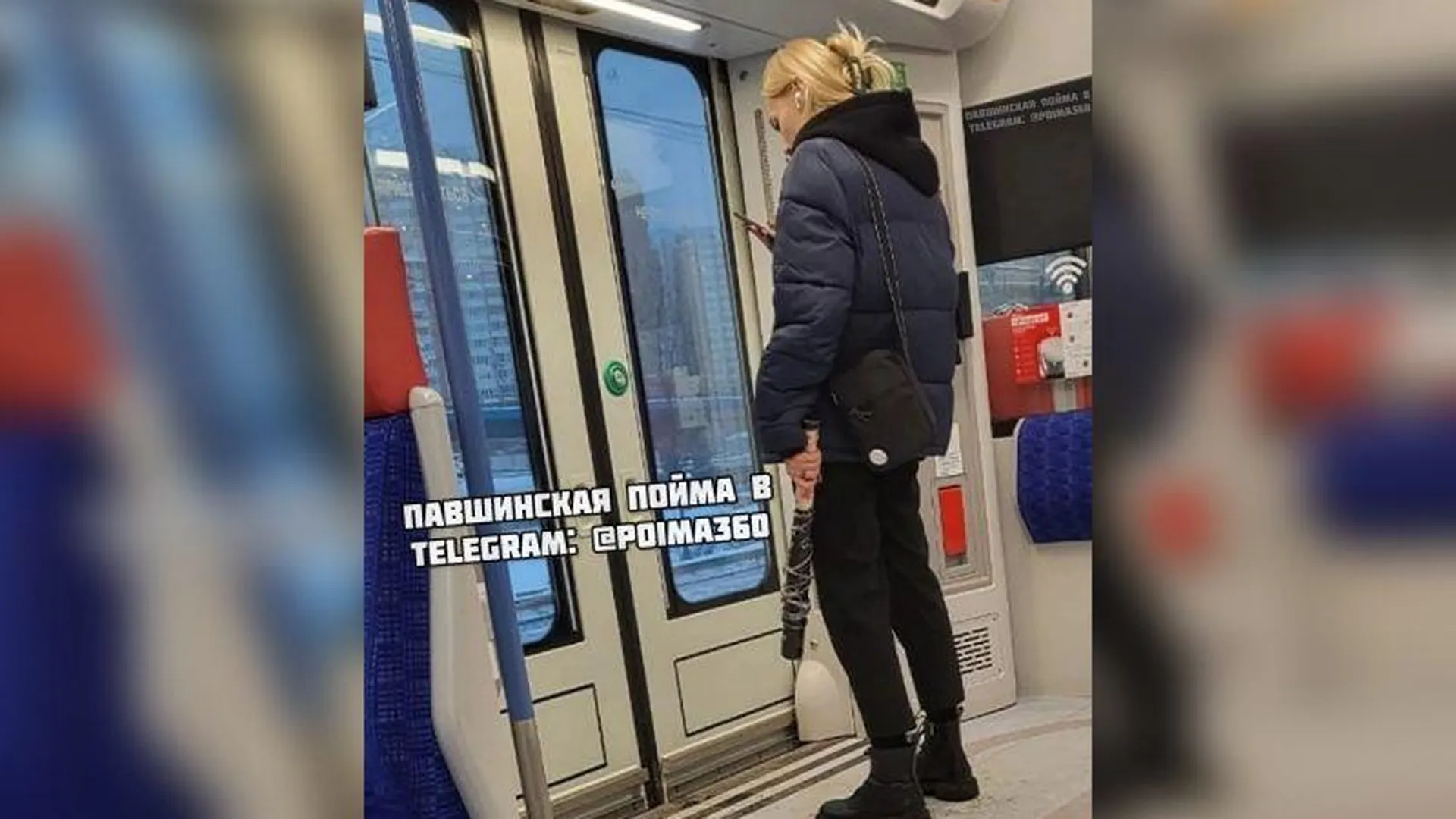 Подмосковная Харли Квин: жителей Красногорска удивила пассажирка МЦД с необычным багажом
