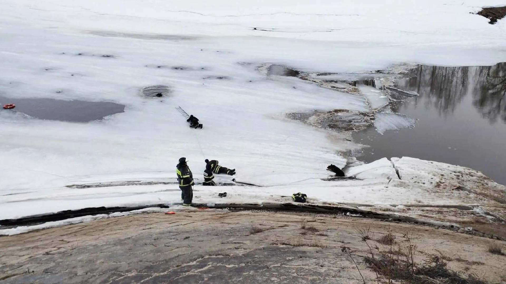 На Рузском водохранилище спасли двух собак, провалившихся под лед