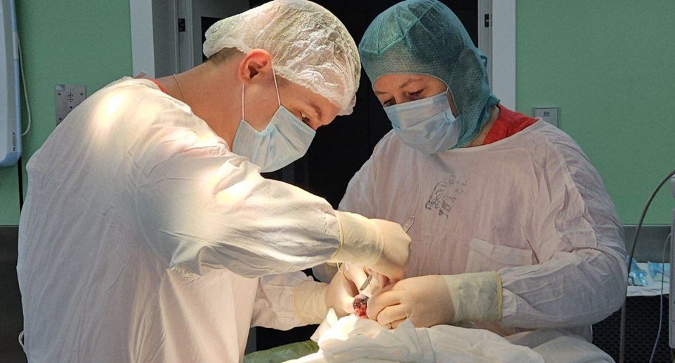 Еще двое врачей Московского областного онкодиспансера стали кандидатами медицинских наук