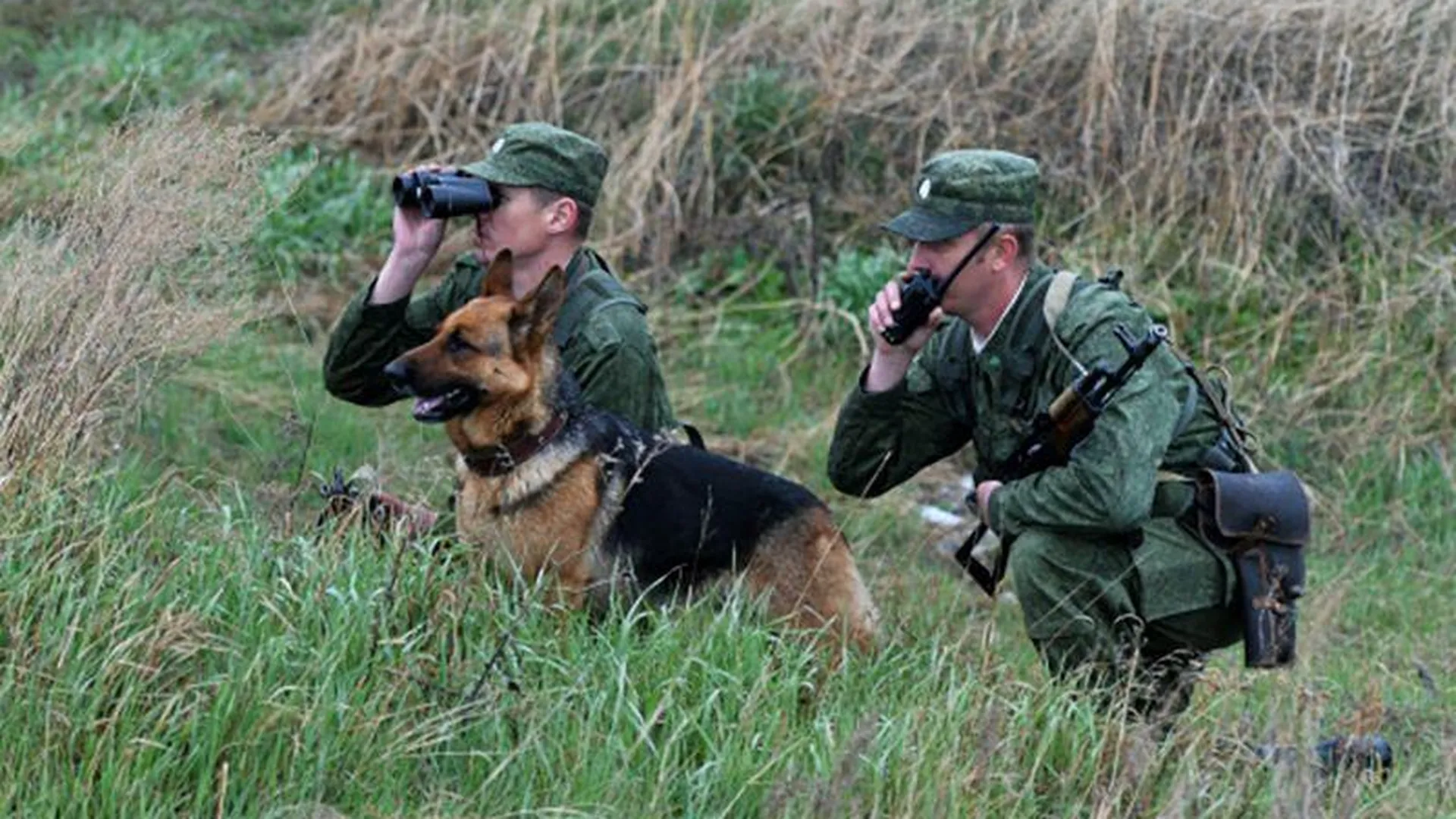 Все больше животных помогают российским бойцам на СВО