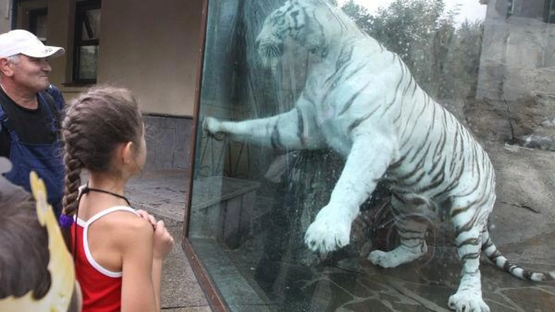 Детский лагерь московского зоопарка открывается 30 мая