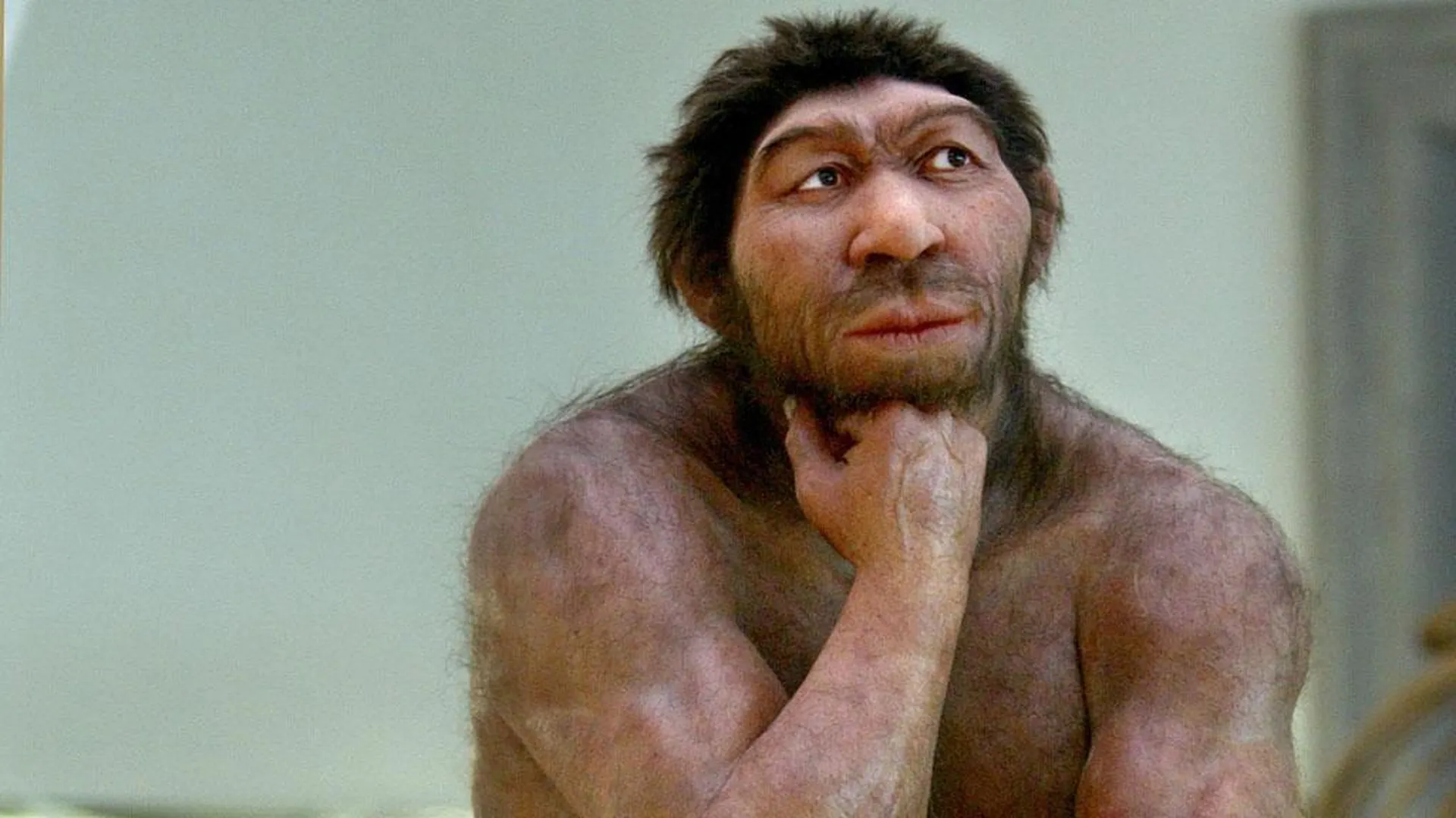 Первобытный мужчина. Неандерталец (homo Neanderthalensis). Хомо сапиенс сапиенс. Первобытный человек хомо сапиенс. Хомо сапиенс Денисовский человек неандерталец.