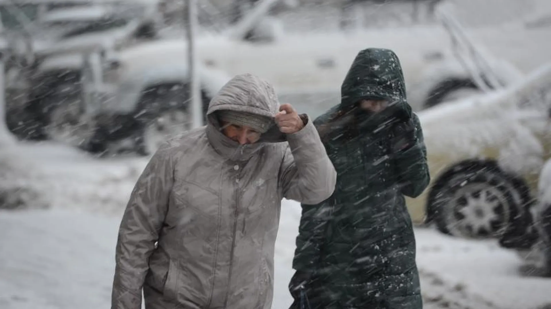 Штормовое предупреждение из-за сильного снегопада объявило МЧС Подмосковья