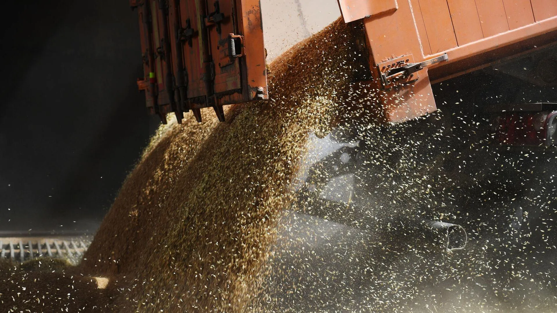 Литва внезапно возобновила закупки зерна из России