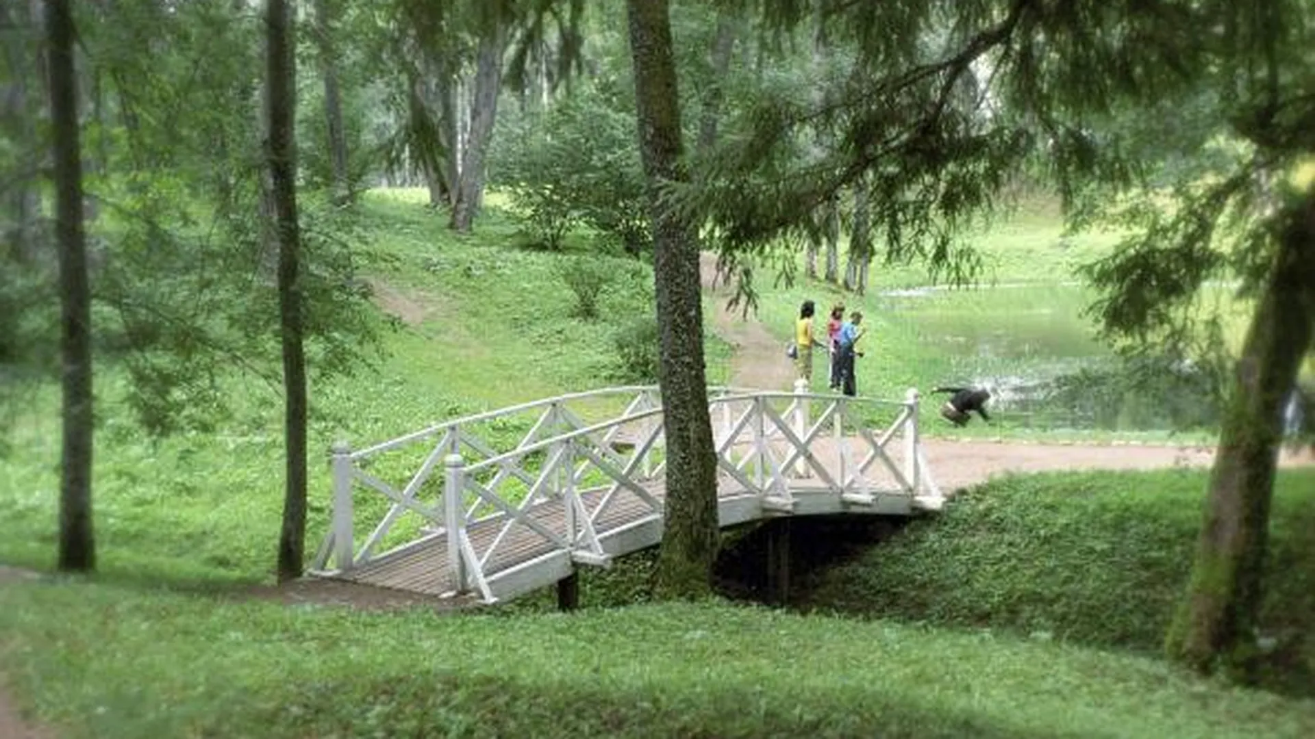 Благоустройство парковой зоны проведут у Дворца спорта в Озерах