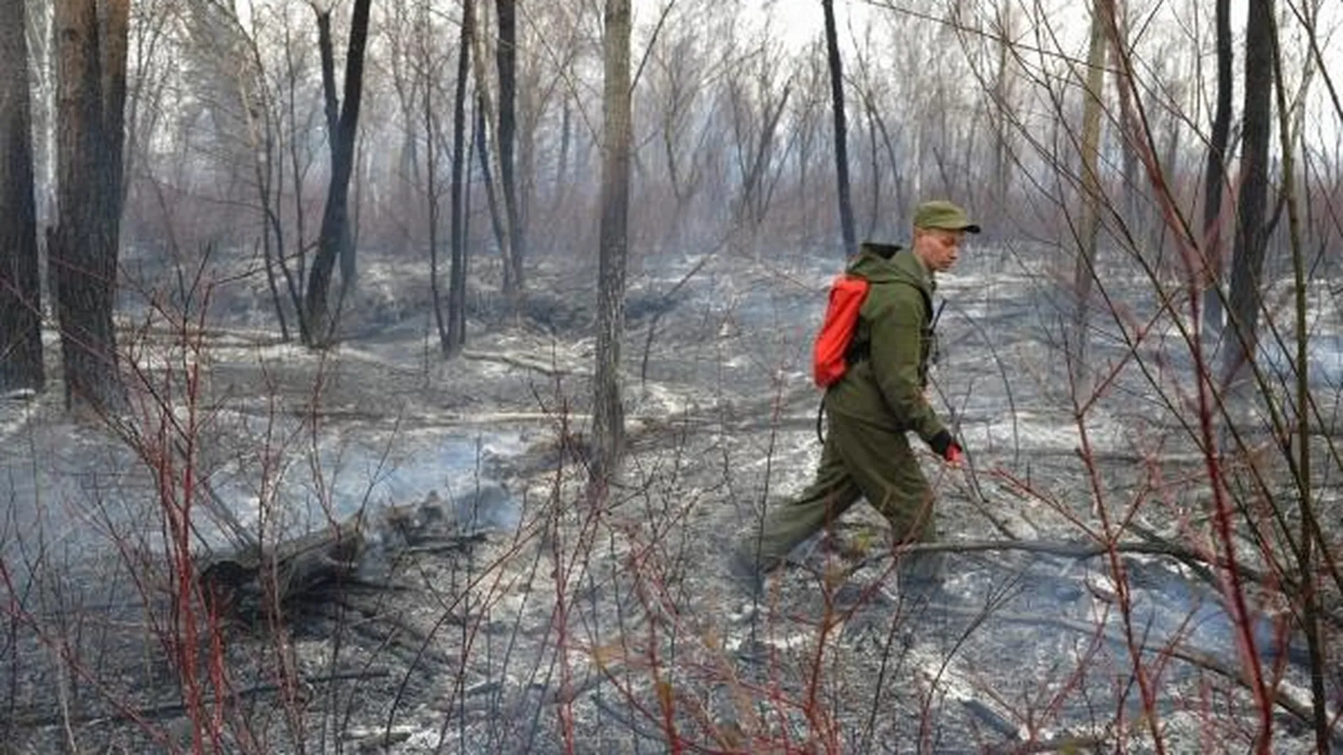 Сезон повышенной пожарной опасности начался в Приокско-Террасном заповеднике