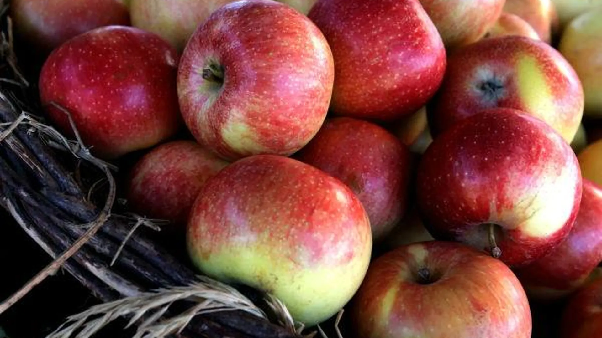 Почти 20 тонн польских яблок пытались провезти в Московский регион по поддельным документам