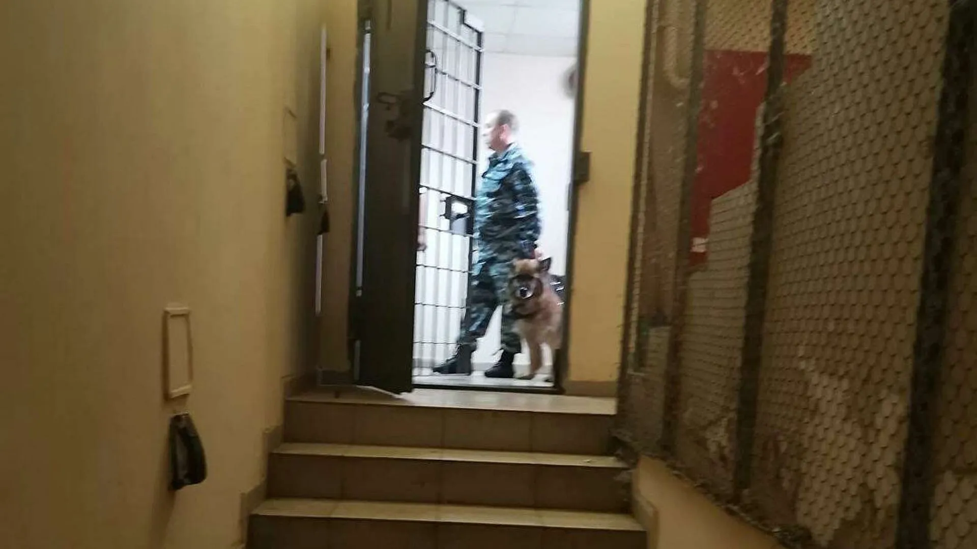 Побег заключенных из ИВС в Истре попал на видео