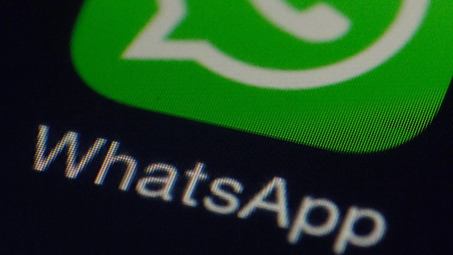 Хинштейн допустил блокировку WhatsApp* в России из-за новой функции