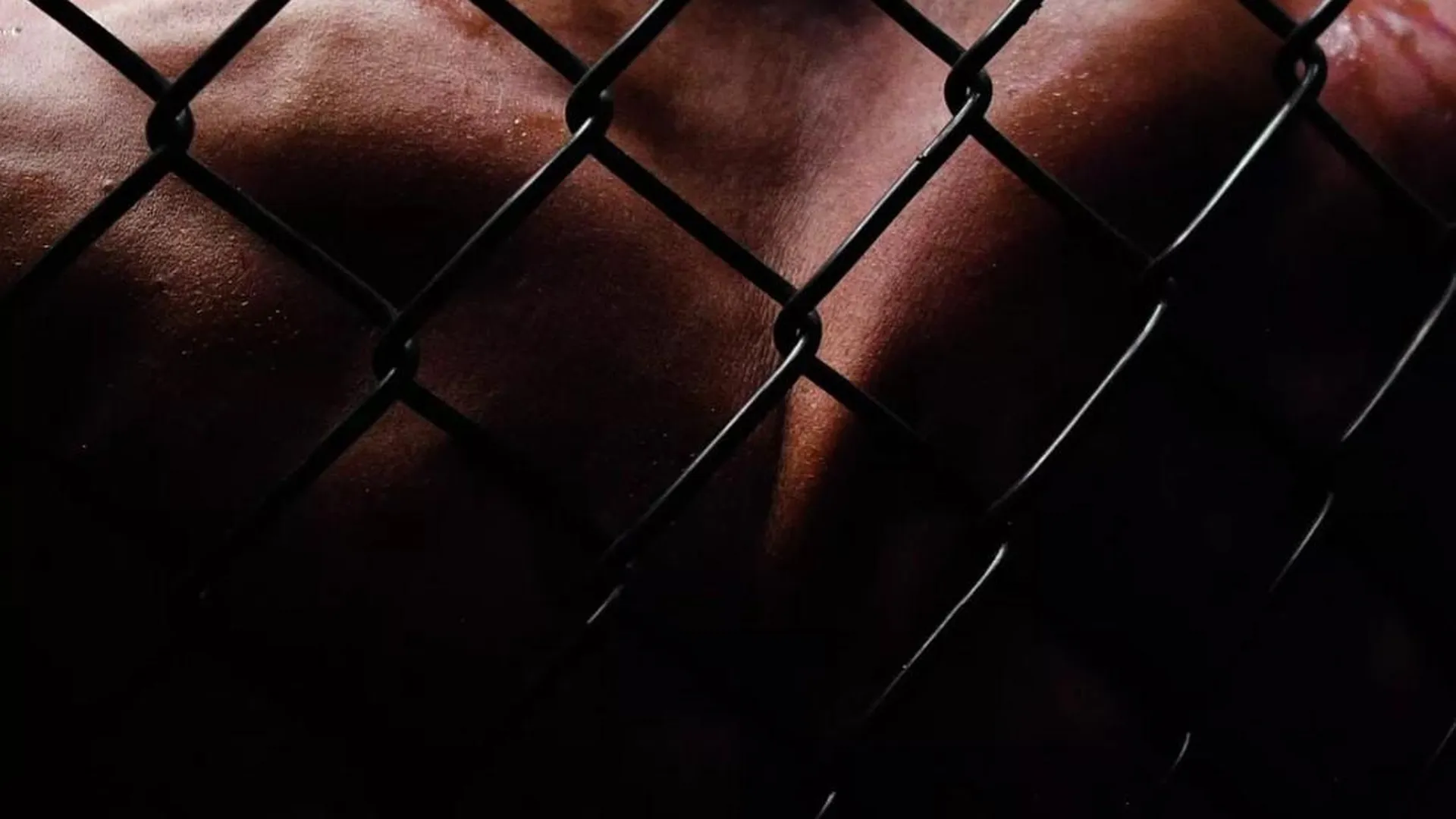 Россиянин Царукян победил бразильца Оливейру на UFC 300